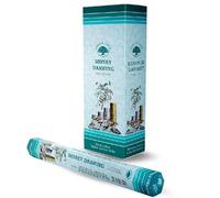 GREEN TREE CANDLE 8903664100241 Money Drawing Bâtonnets d'encens Lot de 20