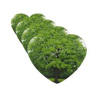Green Tree Lot de 4 cartes de désodorisants de voiture personnalisées pour homme et femme - Tablettes d'aromathérapie à suspendre - Cartes parfumées pour armoire de salle de bain