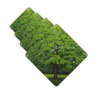 Green Tree Lot de 4 cartes de désodorisants de voiture personnalisées pour homme et femme - Tablettes d'aromathérapie à suspendre - Cartes parfumées pour armoire de salle de bain