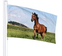 Green Tropical Frog Flag 3x5 Ft Outdoor Double Sided 100% Polyester Duty Durable Flags With Preset Hole For Home Office Garden Holiday Decorations