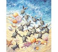 Green Turtle Hatchlings 550 pc Jigsaw Puzzle G