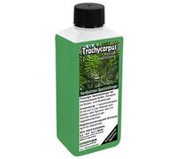 GREEN24 Trachycarpus Engrais pour palmiers chanvre, palmiers tessins, Trachycarpus fortunei wagnerianus comme engrais spécial racines + engrais foliaire professionnel