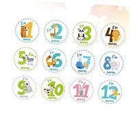 GREENADSCAPE Ensemble De Décalcomanies Mensuelles Pour Bébé Motif Animal De Dessin Animé 12 Mois Pour Baby Mile Signs