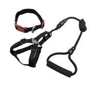GREENADSCAPE Ensemble De Laisses De Dressage pour Chiens Laisse Rétractable De 12 Mm Confortable pour Chiens De Petite Et Moyenne Taille