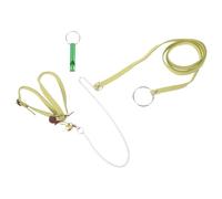 GREENADSCAPE Laisse pour Tortue pour Activités De Plein Air - Corde De Marche D'évasion en Cuir Acier Inoxydable Aléatoire