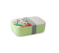 GREENBOX Boîte à sandwich PLA avec couvercle - Convient à un usage alimentaire - Passe au lave-vaisselle - Boîte à déjeuner durable pour enfants - 18,8 x 12,5 x 6,3 cm