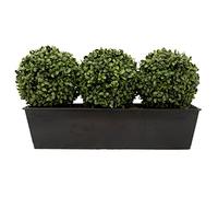 GreenBrokers Buis Artificiel Triple Boule Aglaia dans boîte en étain Noir incliné 54 cm