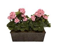 GreenBrokers Géraniums artificiels Roses dans Pot Rustique (jardinière) 45 cm