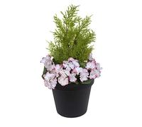 GreenBrokers Géraniums artificiels Roses en Soie synthétique avec conifères topiaires dans Un Pot Noir pour la Maison, la terrasse, Le Jardin, la Vie en Plein air 58 cm