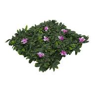 GreenBrokers Haie Murale Verte Artificielle Violette (Segment Individuel) - Résistant aux UV pour Jardin Vertical