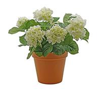 GreenBrokers Hortensia Artificielle en Pot Couleur Terre Cuite Blanc 23 x 46 cm