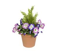 GreenBrokers Jardinière Artificielle en Plastique Terre Cuite avec pétunias Roses et Violets et topiaire de cèdre, Taille Unique