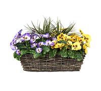 GreenBrokers Jardinière de fenêtre en rotin Artificiel Violet/Jaune 49 cm