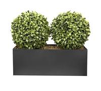 GreenBrokers Jardinière en étain Noir avec Boules de buis Doubles de 35 cm