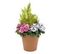 Greenbrokers Limited Jardinière Artificielle pour terrasse Pot Terracotta Rose/Blanc