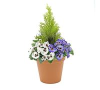 Greenbrokers Limited Jardinière Artificielle pour terrasse Pot Terracotta Violet/Blanc