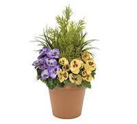 Greenbrokers Limited Jardinière Artificielle pour terrasse Pot Terracotta Yellow & Purple