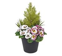 GreenBrokers Pensées artificielles en Soie synthétique Rose et Blanc avec graminées/conifères dans Un Pot Noir pour Patio, Jardin, extérieur 60 cm