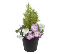 GreenBrokers Pétunias artificiels en Soie synthétique Rose et Blanc avec topiaire conifère dans Un Pot Noir idéal pour la Maison, la terrasse, Le Jardin, la Vie en Plein air 60 cm