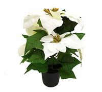 GreenBrokers Poinsettia Artificielle Blanche en Pot 36 cm