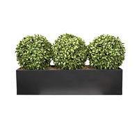 GreenBrokers Topiary Ball Jardinière à fenêtre Noir 54 cm