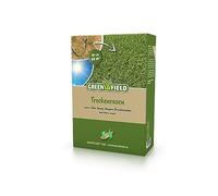 Greenfield Graines de gazon sec Vital 2 kg pour environ 60 m²