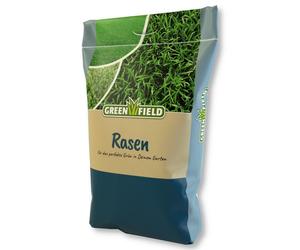 Greenfield prairie de fleurs sauvages et d’herbes avec des graminées GF 894 1