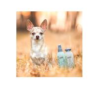 Greenfields Shampoing et Spray pour Chiens pour Soin Complet 2x250 ml Animaux