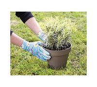 GREENGERS - Gants de travail, Jardinage - Gants jardinage en Polyester enduits de Nitrile Bleu - Motif Fleurs - Taille T8 - Unisexe - Convient à tous types de travaux de jardinage