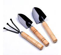 Greenlans-1 3 pcs Mini Lot de jardin outils de jardinage avec manche en bois Râteau Pelle pour, comme sur l'image, Taille unique
