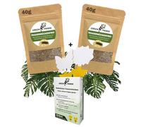 GreenPanda Bio sans moucherons - combat efficacement les larves du sol et les moucherons des champignons - Remède 2 en 1 contre les moucherons des champignons - 2 x 40 g de substrat en poudre anti-lar