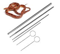 Greensen 5PCS Kit de Sondes pour Serpents, Têtes Rondes en Acier Inoxydable pour Détermination du Sexe des Reptiles Anti-Allergique Sécurisé avec Boîte de Rangement pour Serpents Tailles