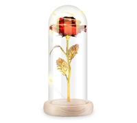 Greensen Eternelle Rouge, Enchantée sous Cloche, Rose Lumineuse pour Mariage d'anniversaire de la Saint-Valentin Noël de Fête des Mères