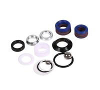 Greensen Kit de Réparation de Pompe à Pulvérisation sans Air en Silicone en Acier Inoxydable 244194 248212 248213 249123 pour Ultra 390 795 1095 3900 5900 7900 (244194)