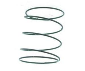 Greenstar 10746 Ressort de rechange X1608125