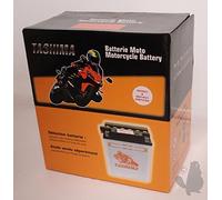 Greenstar 11025 Batterie YB16B.A1