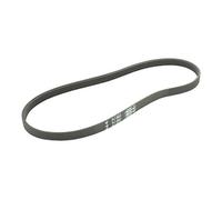 Greenstar 11122 Hutchinson PJ Courroie élastique poly-V 659 x 11,7 mm 5 dents, Noir