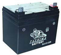 Greenstar 11381 Batterie étanche/droite NH1222DR