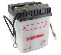Greenstar 11509 Batterie 6N4.2A.5
