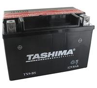 Greenstar 11541 Batterie AGM YTZ10S