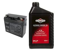 Greenstar 11773 Batterie NH1220 & Briggs & Stratton 100008E Huile Moteur SAE 30, 2.0 litre