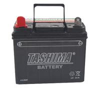 Greenstar 11779 Batterie U1.L9 chargée sans entretien