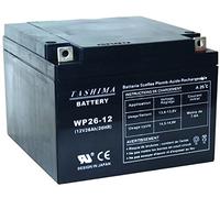 Greenstar 11782 Batterie 12 V 26 AH, Noir