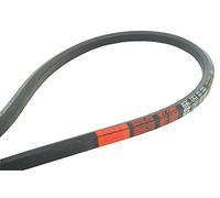 Greenstar 11955 BB101 Courroie lisse hexagonale 2679 mm