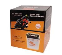 Greenstar 15341 Batterie b49.6 (f618), Noir, Petite