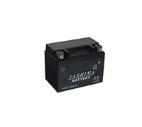 Greenstar 2081 Batterie AGM 5 A 12 V