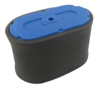 Filtre A Air Honda (17211-ZF5-V01)