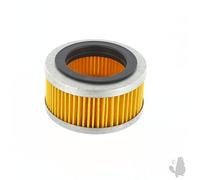 Greenstar 5450 Filtre à air pour Stihl BR320/BR320L/BR400/SR320/SR400