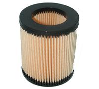 Greenstar 5509 Filtre à air 2ème génération pour AS motor 69 mm