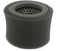Greenstar 5671 Filtre à air pour Robin EC/EY10/EZ08